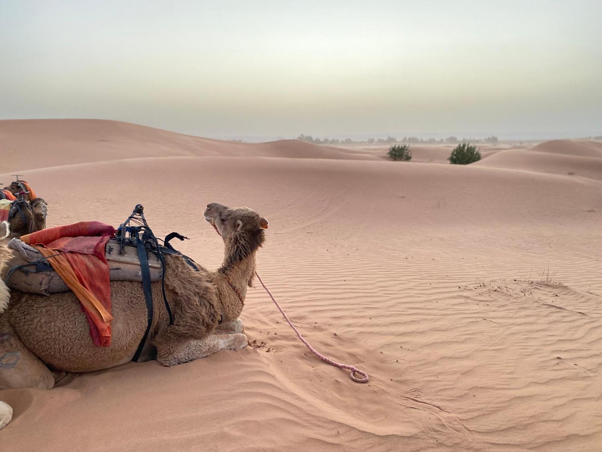 Hotel Erg Chebbi Sahara Camp Merzouga Zewnętrze zdjęcie